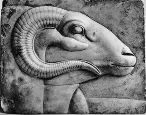 Ein Widderkopf, Ägypten, 1936