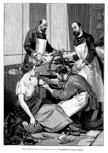 Ein Tuberkulosepatient erhält eine Bluttransfusion von einer Ziege, 1891 von Unbekannt