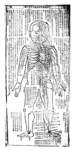 Akupunkturkarte für die Vorderseite des Körpers, Japanisch, 19. Jahrhundert von Unbekannt