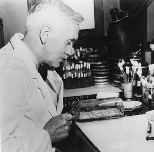 Alexander Fleming, schottischer Bakteriologe in seinem Labor, 1930er