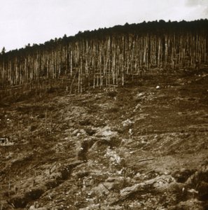 Elsass, um 1914-1918 von Unbekannt