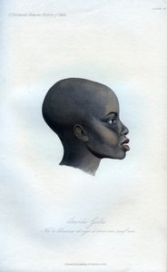 Amochi Galla, ein Porträt eines Galla, 1848 von Unbekannt