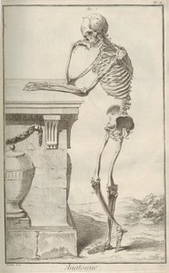Anatomie. Aus der Encyclopédie von Denis Diderot und Jean Le Rond d