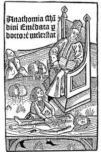 Anatomie-Demonstration, 1493