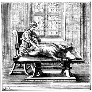 Tier-zu-Mensch-Bluttransfusion, 1679 von Unbekannt