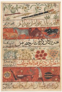 Tiere, Edelsteine, Münzen und Musikinstrumente recto..., ca. 1341