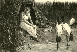 Anysis versteckt sich in den Sümpfen des Deltas, 1890 von Unbekannt
