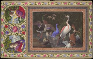 Wasservögel an einem Teich, Folio aus dem Davis-Album, 18. Jahrhundert von Unbekannt