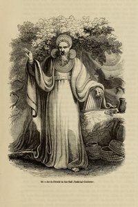 Erz-Druide in seiner vollen richterlichen Tracht aus dem Buch Old England: A Pictorial Museum, 1845