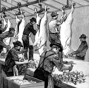 Schlachthaus der Armour Company, Chicago, Illinois, USA, 1892 von Unbekannt