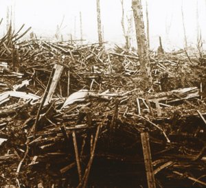 Schlachtfeld, ca. 1914-1918