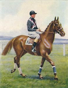 Schlachtschiff, Jockey: B. Hobbs, 1939