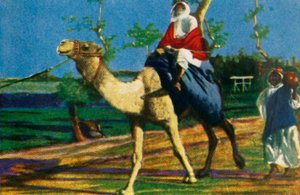 Beduine reitet auf einem Kamel, Ägypten, ca. 1928