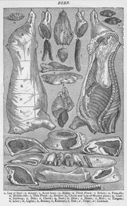 Rindfleisch, 1907