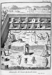 Imkerei, 1775 von Unbekannt