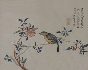 Vogel auf einem blühenden Zweig von Unbekannt