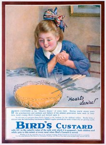 Birds Custard Werbung