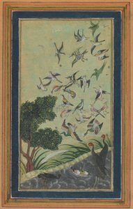 Vögel in Baran, möglicherweise aus dem Babur-nama, spätes 16. Jahrhundert von Unbekannt
