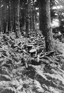 Britische Infanterie in einem Wald, Erster Weltkrieg, 1914-1918 von Unbekannt