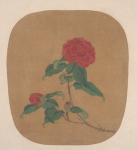 Kamelienblüten von Unbekannt