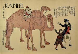 Kamele mit niederländischen Führern, ca. 1821 von Unbekannt