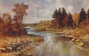 Kanadische Waldszene, 1924