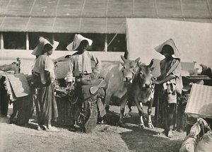 Karawanenszene mit Shans in Bhamo, 1900