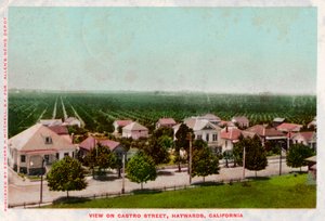 Castro Street, Hayward, Kalifornien, 1905 von Unbekannt