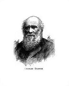 Charles Darwin, britischer Naturforscher des 19. Jahrhunderts, 20. Jahrhundert