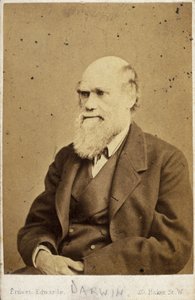 Charles Darwin, englischer Naturforscher, ca. 1870er