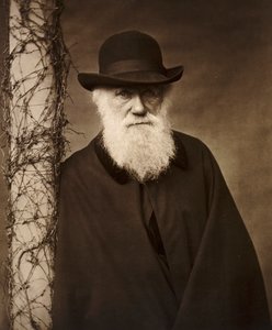 Charles Darwin in seinem Haus in Down House, Kent, ca. 1880 von Unbekannt