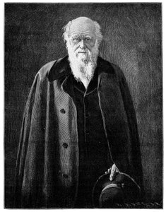 Charles Darwin, renommierter Naturforscher und Denker, 1900
