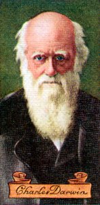Charles Darwin, aus einer Serie von Zigarettenkarten, 1935 von Unbekannt