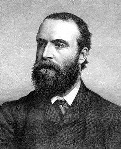 Charles Stuart Parnell, irischer Politiker des 19. Jahrhunderts, um 1874-1891 von Unbekannt