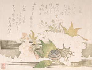 Kirschblüten und eine Schnecke, 1816