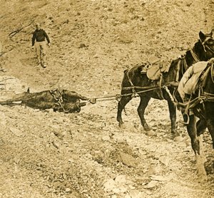 Schlachtfeld räumen, ca. 1914-1918 von Unbekannt