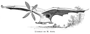 Clement Aders fliegender Vogel Eole, das erste bemannte Flugzeug, das aus eigener Kraft abhob, 1890