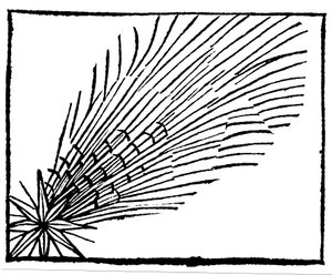 Komet von 684 Halley, 1493