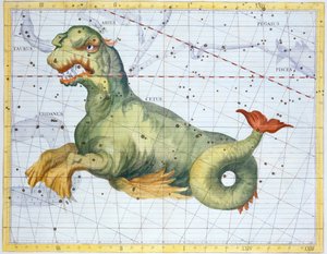 Sternbild des Wals (Cetus), 1729