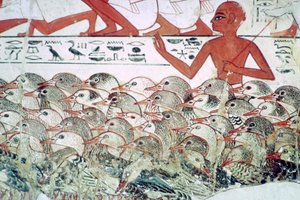 Gänse zählen: Fragment einer Wandmalerei aus dem Grab von Nebamun, Theben, Ägypten, ca. 1350 v. Chr.