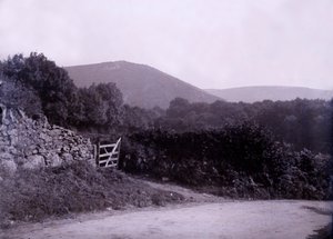 Landschaft in der Nähe von Plymouth in Devon von Unbekannt