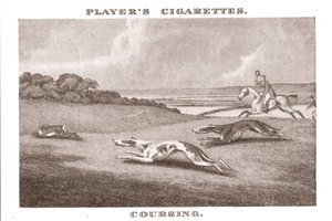 Coursing von Unbekannt