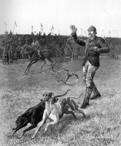 Hetzjagd: Die Windhunde loslassen, 1887