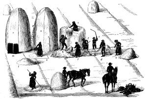 Fruchtfolge: Roggengras dreschen für Samen, 1855 von Unbekannt