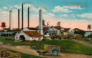 Kuba: Ingenio moliendo. Zuckerfabrik bei der Arbeit, um 1900