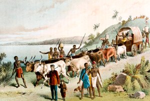 David Livingstone, schottischer Missionar und Afrikaforscher, 1849 um 1878