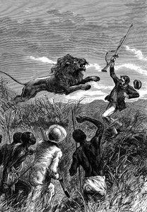 David Livingstone, schottischer Missionar und Afrikaforscher, von einem Löwen angegriffen, ca. 1860 von Unbekannt