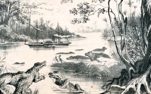 David Livingstone navigiert den Sambesi, Afrika, 1852-1864, ca. 1878 von Unbekannt