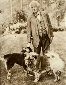 David Lloyd George, 1935 von Unbekannt