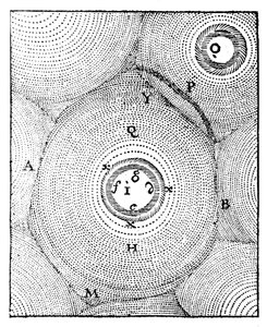 Descartes Modell des Universums, 1668 von Unbekannt